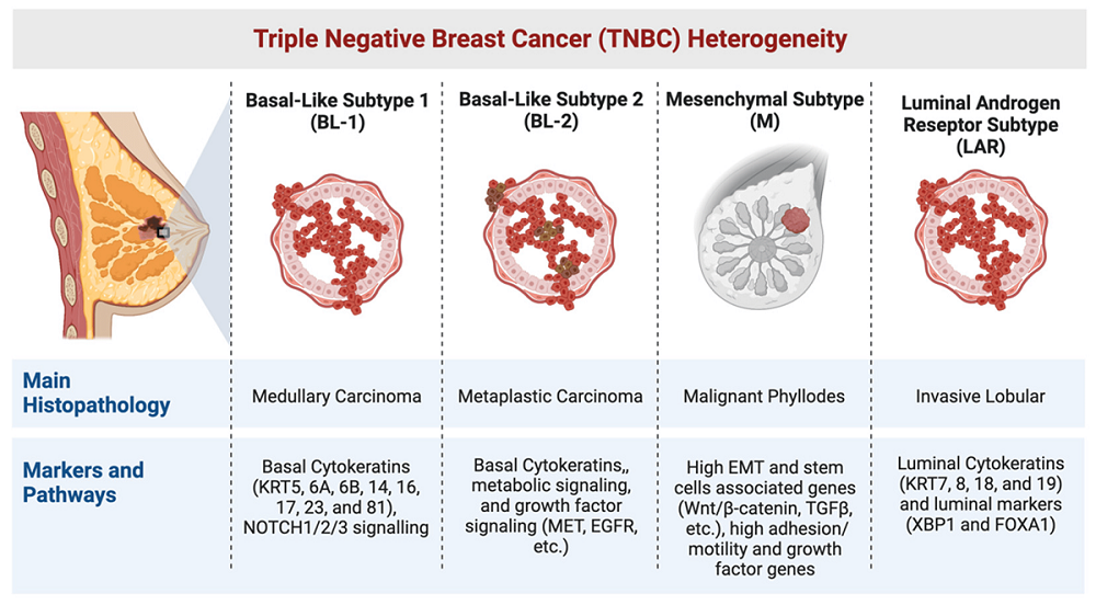 TNBC